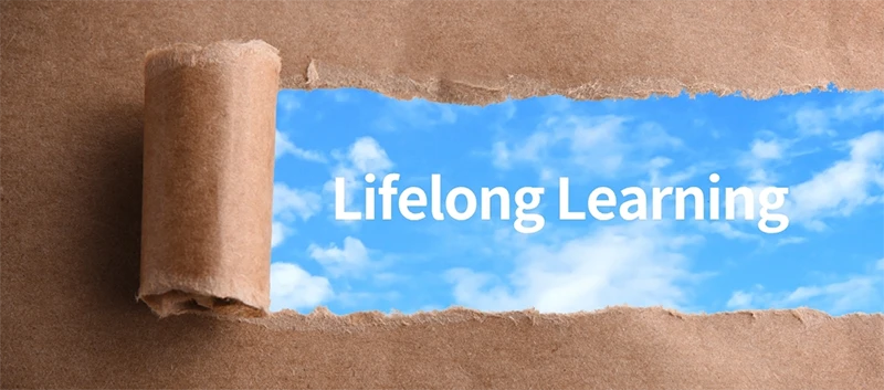 Lifelong Learning