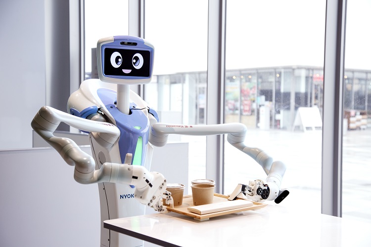 自律走行型の人型双腕ロボット「Nyokkey （ニョッキー）