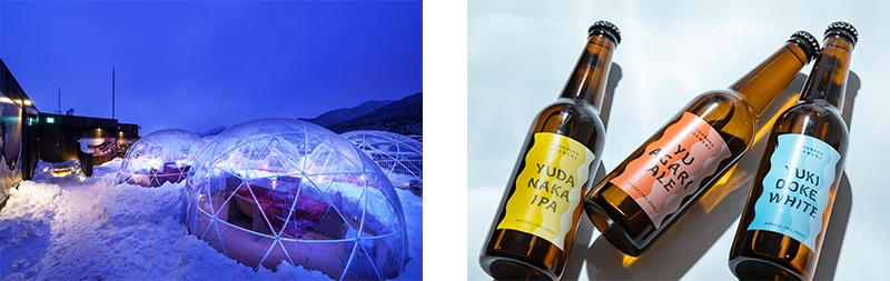 雪原に設置された透明ドーム、クラフトビール3本の写真