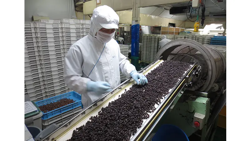 シニアが働く環境の様子