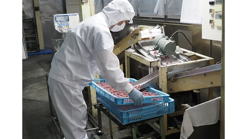 シニアが働く環境の様子