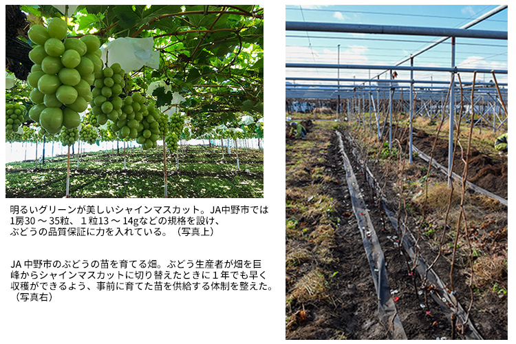 w166_kyokugen_01.jpg