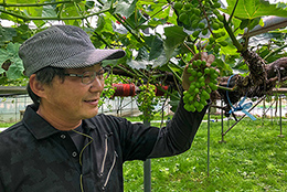 長野県中野市 ぶどう生産者　町田 仁氏