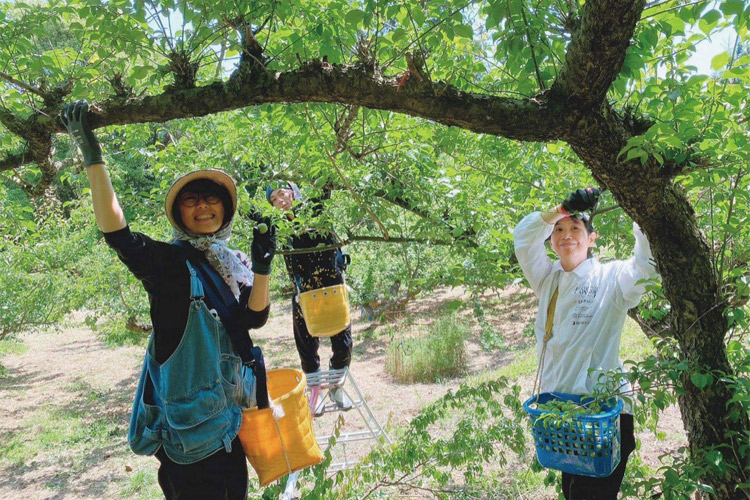 w180_local_harvest.jpg