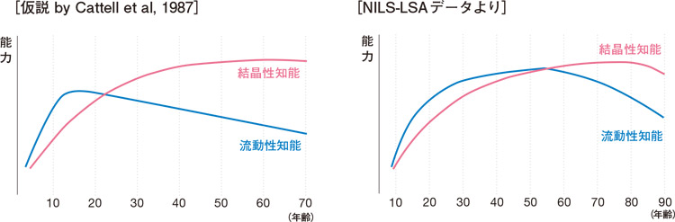 認知機能の加齢変化
