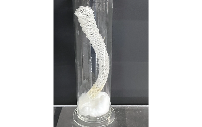 カイロウドウケツ