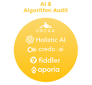 AI＆アルゴリズム監査（AI & Algorithm Audit）